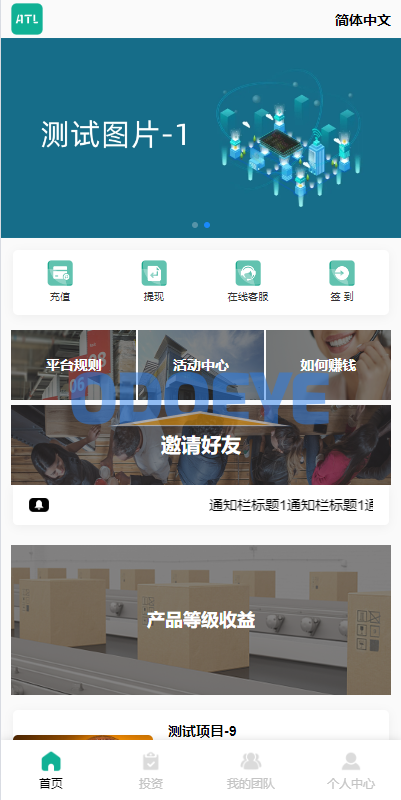 海外多语言投资理财系统/投资认购系统/前端vue