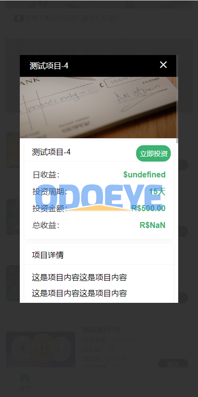 海外多语言投资理财系统/投资认购系统/前端vue