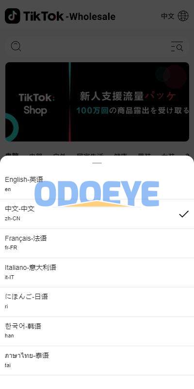 新版Tiktok跨境商城系统/多语言tiktok商城/内置客服/内嵌tiktok