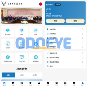 海外投资众筹系统/越南投资理财/前端VUE