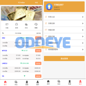 海外微交易系统/多语言微盘/外汇交易/时间盘