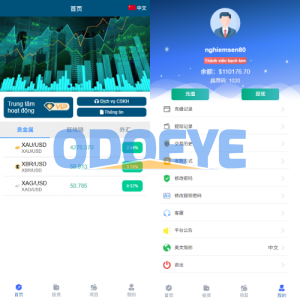 多语言微交易/贵金属外汇虚拟币微盘源码/越南时间盘