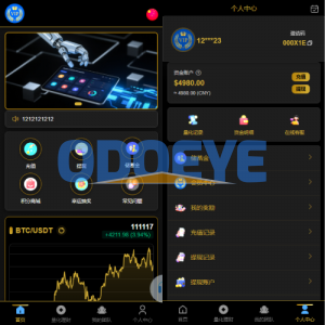 多语言虚拟币量化投资系统/海外币种投资/前端vue