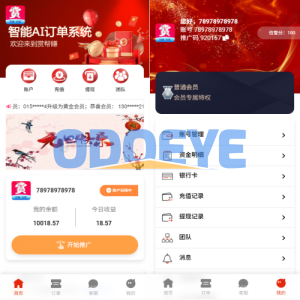 运营版抢单刷单系统/打针/做单/会员跟踪/信誉分