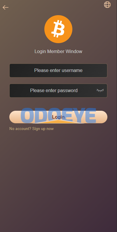 海外虚拟币竞猜投注/区块链竞猜游戏/开奖预设