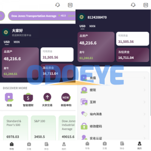 多语言海外股票系统/大宗交易/新股认购/产品理财