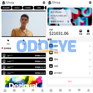 多语言商城抢单刷单系统/手动派单/爆单卡单