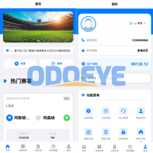 海外反波胆系统/电脑自适应/球盘源码/足球下注