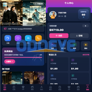 多语言视频任务系统/VIP任务/视频返利/余额宝/前端VUE
