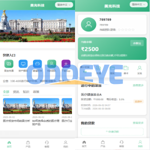 新版海外投资理财系统/医疗项目基金投资/贷款/余额宝