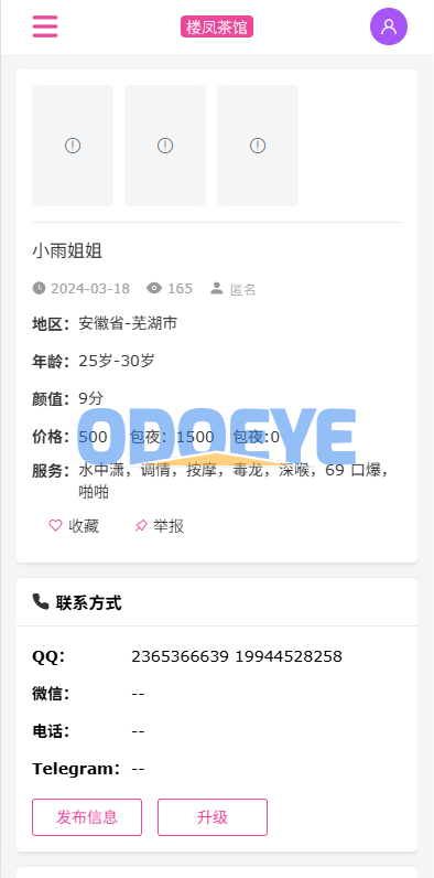 JAVA版同城楼凤系统/楼凤茶馆/信息发布/信息网