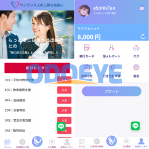 新版日本空降相亲/秒合约认证/任务认证/空降微交易