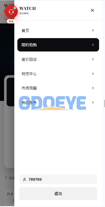 海外奢饰品回收/劳力士商城/商品抢购/以旧换新/PC自适应