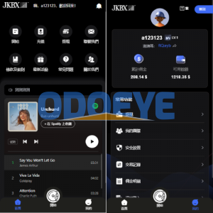 海外音乐抢单刷单系统/卡单/重置订单/前端VUE