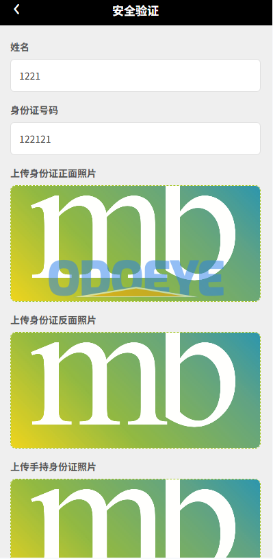定制版汽车抢单刷单/连单卡单/PC自适应/实名认证/佣金自定义