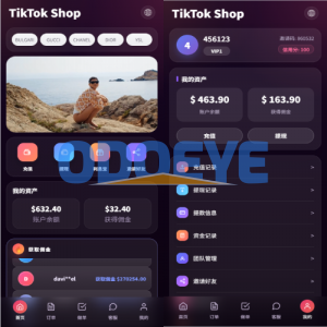新版TIKTOK抢单刷单/打针派单/连单卡单/JAVA刷单